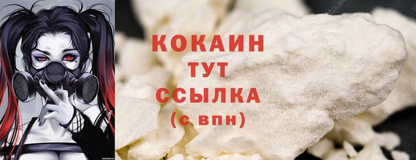 прущие грибы Абинск