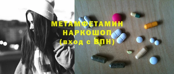 прущие грибы Абинск