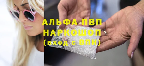 прущие грибы Абинск