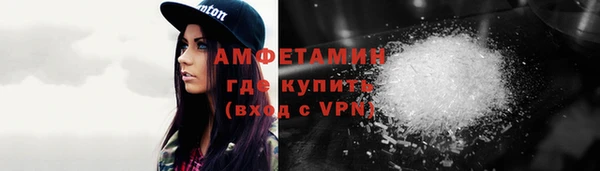 прущие грибы Абинск