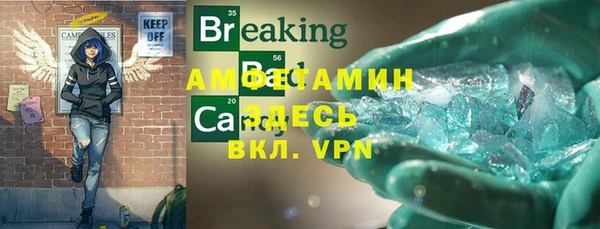 прущие грибы Абинск