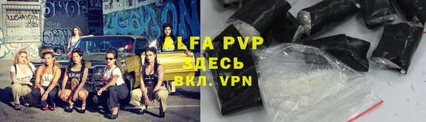 МДПВ Пересвет