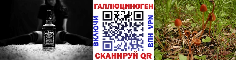 даркнет сайт Советская Гавань Галлюциногенные грибы прущие грибы