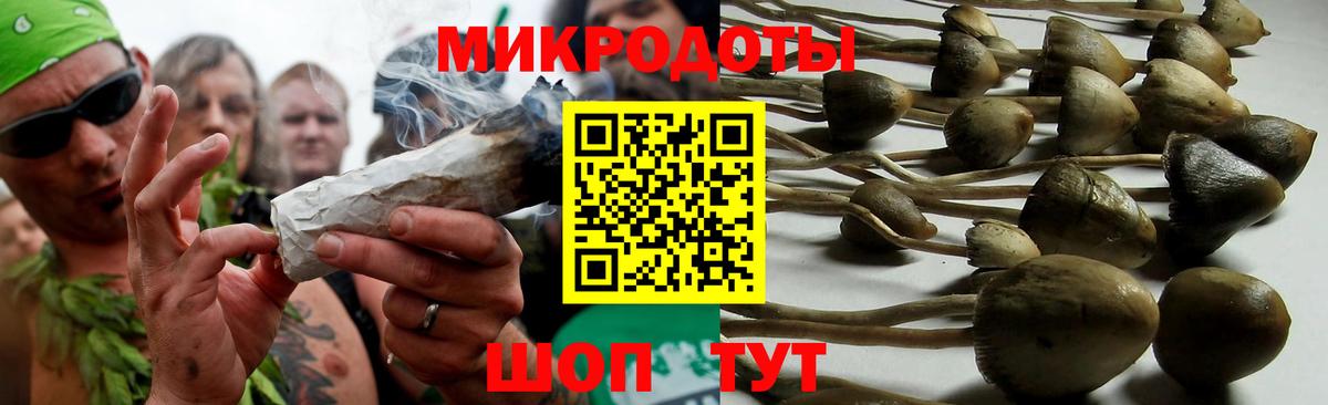 Псилоцибиновые грибы мухоморы Советская Гавань